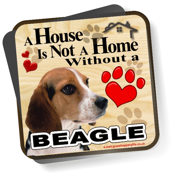Coaster - Beagle Home