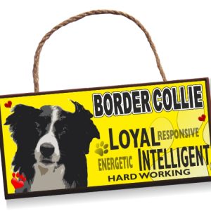 Sign - Border Collie No2 Bright
