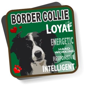 Coaster - Border Collie No2