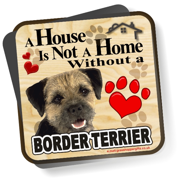 Coaster - Border Terrier No2 Home