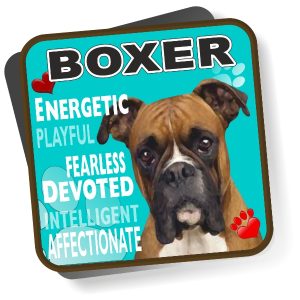 Coaster - Boxer No2