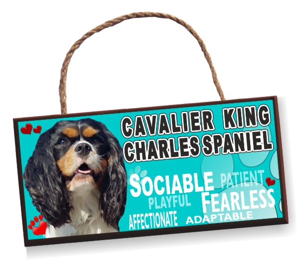 Sign - Cavalier Spaniel No3 Bright