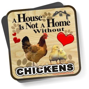 Coaster - Chickens Home