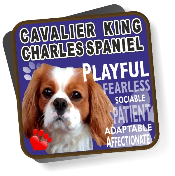 Coaster - Cavalier King Charles Spaniel No4