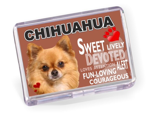Fridge Magnet - Chihuahua No3