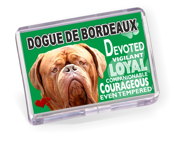 Fridge Magnet - Dogue de Bordeaux No2