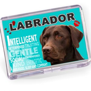 Fridge Magnet - Labrador No5