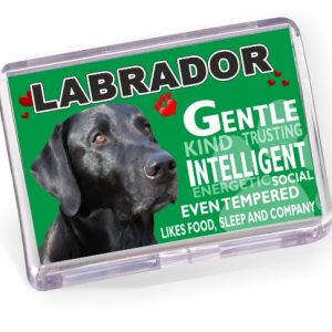 Fridge Magnet - Labrador No4