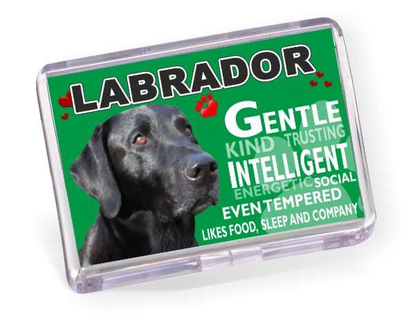 Fridge Magnet - Labrador No4