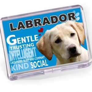 Fridge Magnet - Labrador No6