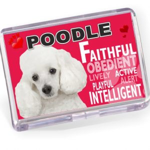 Fridge Magnet - Poodle No2