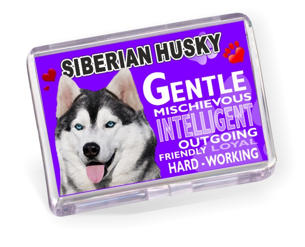 Fridge Magnet - Siberian Husky No2