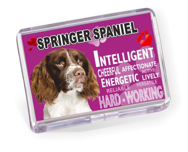 Fridge Magnet - Springer Spaniel No4