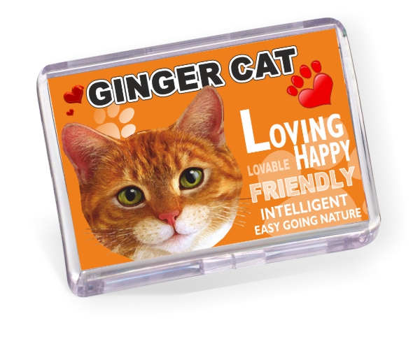 Fridge Magnet - Ginger Cat No2