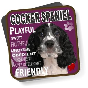 Coaster - Cocker Spaniel No3