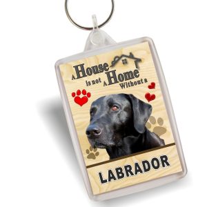 Key Ring - Labrador