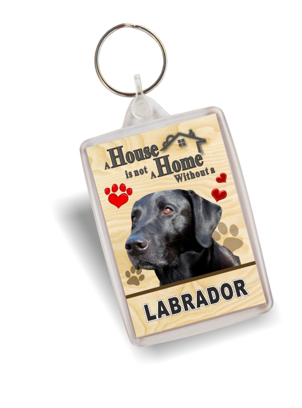 Key Ring - Labrador