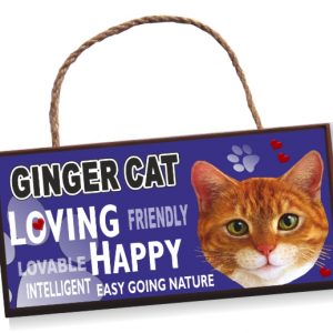 Sign - Ginger Cat Bright