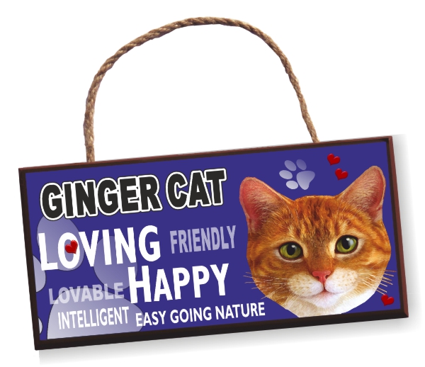 Sign - Ginger Cat Bright