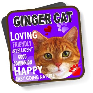 Coaster - Ginger Cat No2 Bright
