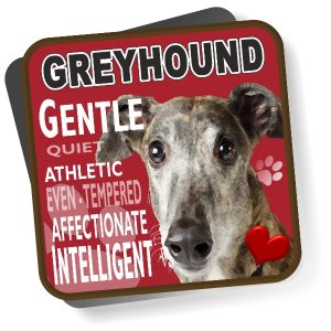 Coaster - Greyhound No2