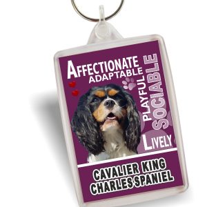 Key Ring - Cavalier King Charles Spaniel No3