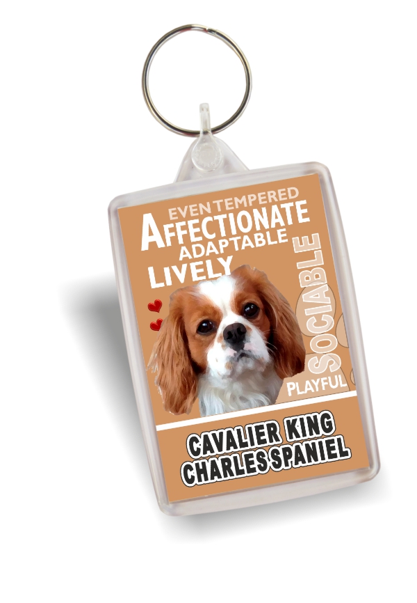 Key Ring - Cavalier King Charles Spaniel No4