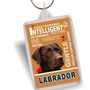 Key Ring - Labrador No5