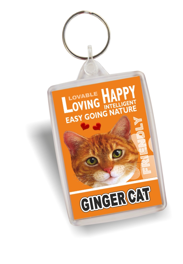 Key Ring - Ginger Cat No2