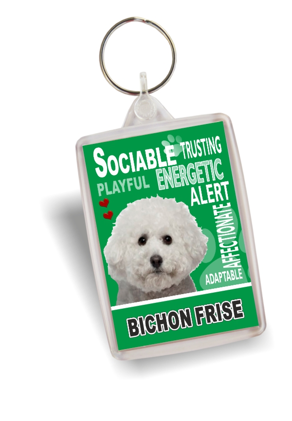 Key Ring - Bichon Frise No2 Key Ring - Bichon Frise No2