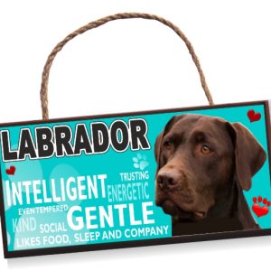 Sign - Labrador No5 Bright