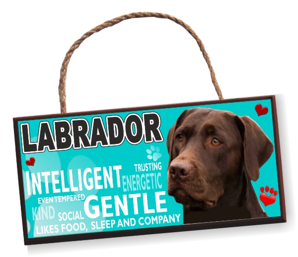 Sign - Labrador No5 Bright