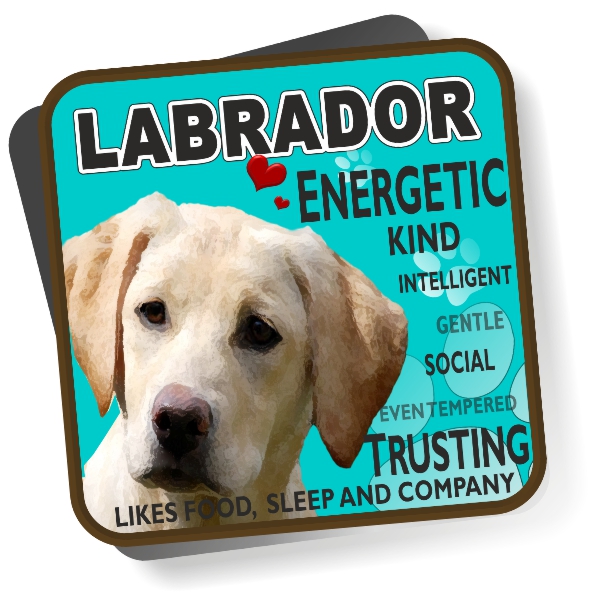 Coaster - Labrador No6
