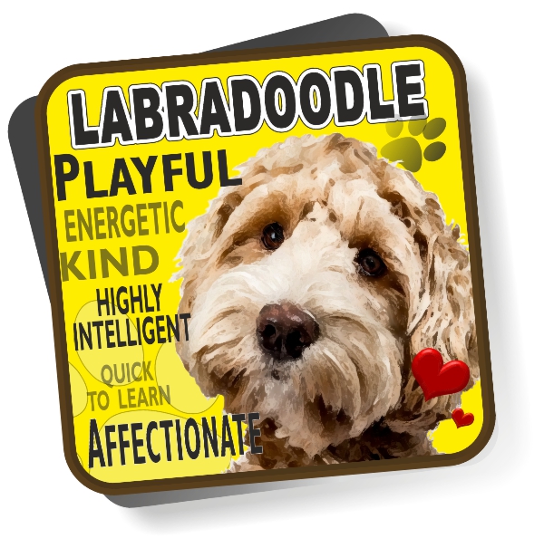 Coaster - Labradoodle No2 Coaster - Labradoodle No2