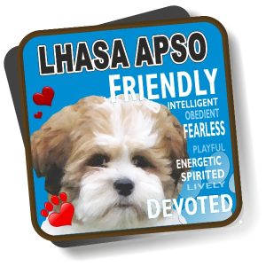 Coaster - Lhasa Apso No2