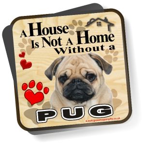 Coaster - Pug No2
