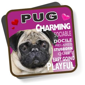 Coaster - Pug No3