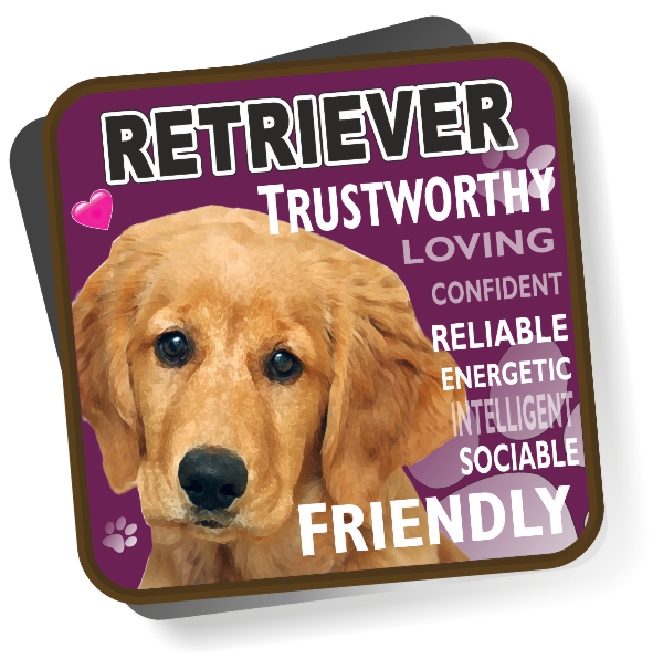 Coaster - Retriever No2