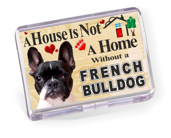 Fridge Magnet - French Bulldog