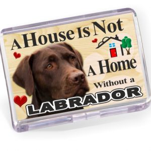 Fridge Home Magnet - Labrador No2