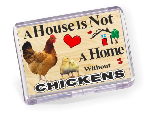 Fridge Magnet - Chickens