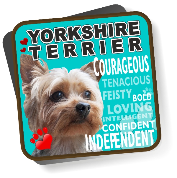 Coaster - Yorkshire Terrier No3