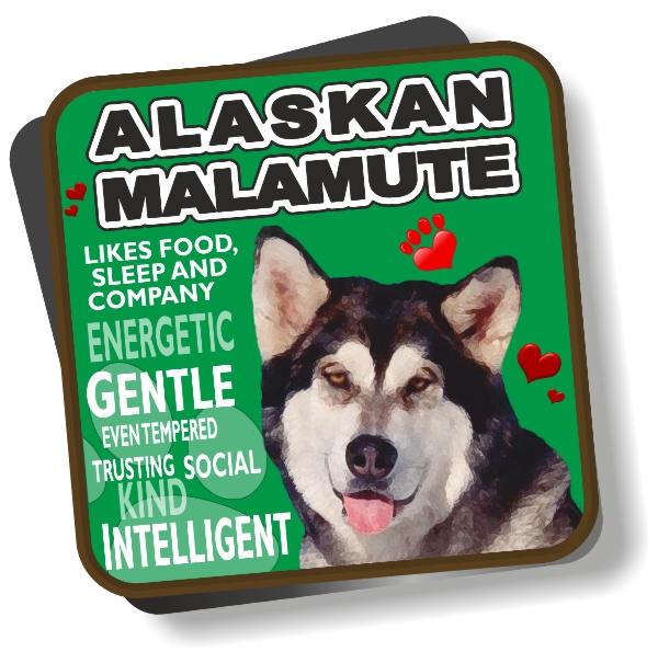 Coaster - Alaskan Malamute No2