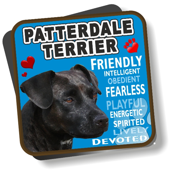 Coaster - Patterdale Terrier No2