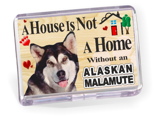 Fridge Magnet - Alaskan Malamute Fridge Magnet - Alaskan Malamute