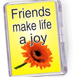 Fridge Magnet Friends Make Life a Joy
