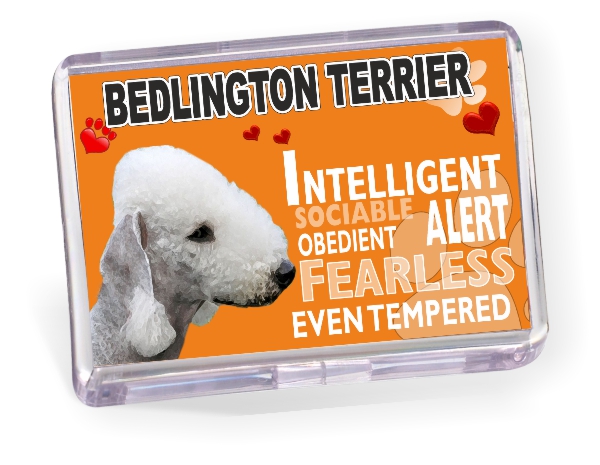 Fridge Magnet - Bedlington Terrier No2