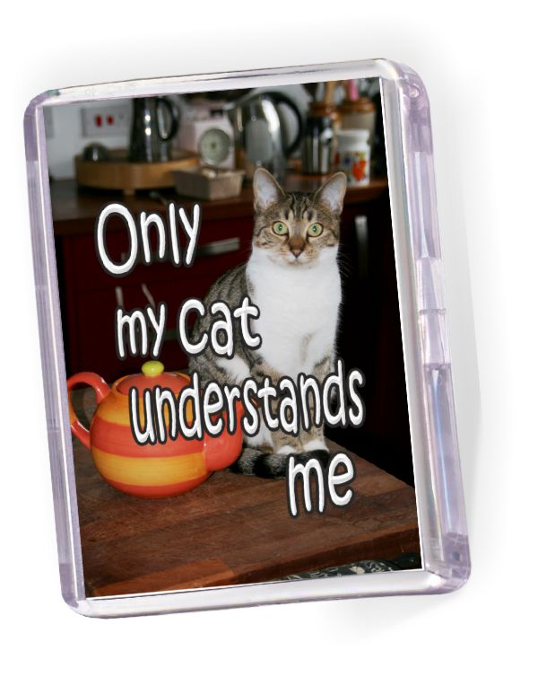 Fridge Magnet  Only my Cat Understands Me
