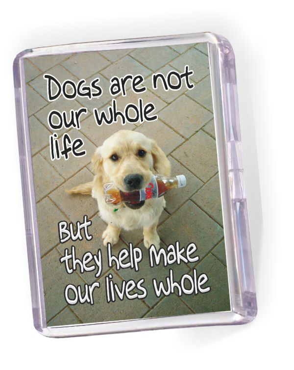 Fridge Magnet Dogs Are Not Our Whole Life...