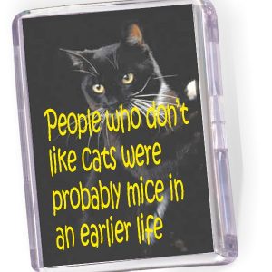 Fridge Magnet People who don't Like Cats...